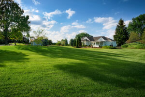 Healthy Lawn Minnesota