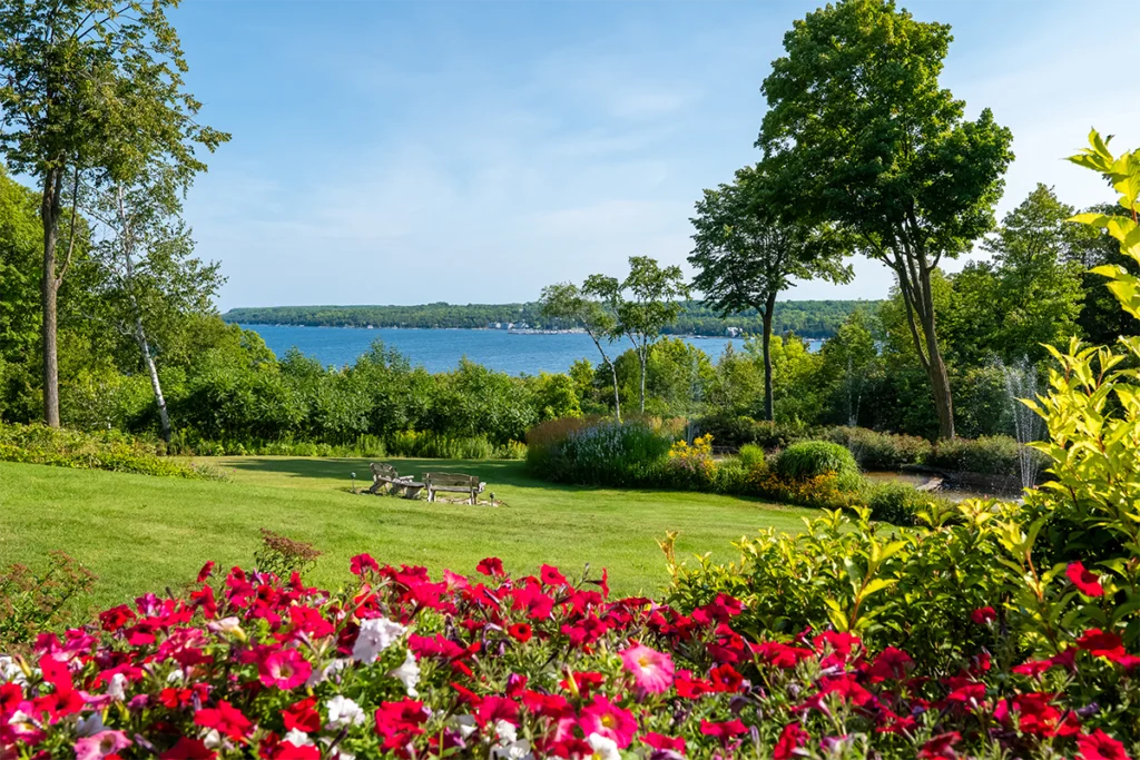 6 Reasons Your Lawn Needs More Time Than You Think