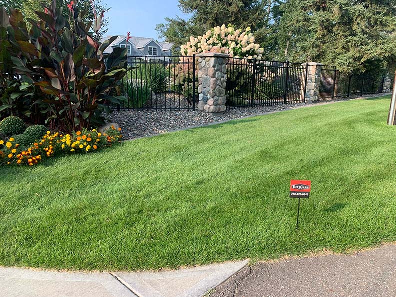 Five-Step Lawn Fertilization Program in Minnesota