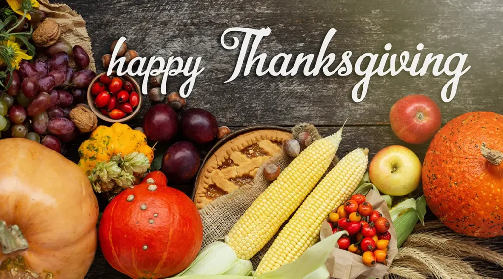 Happy Thanksgiving from TurfCare MN!