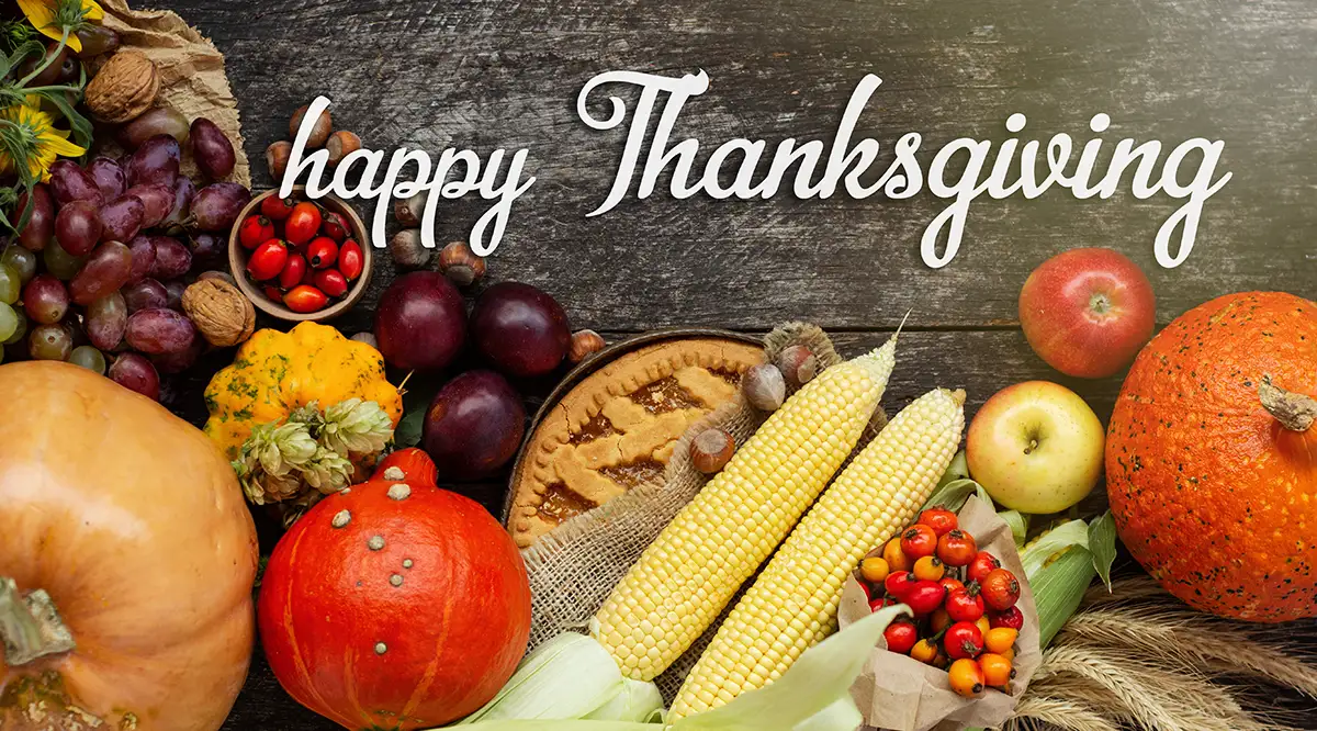 Happy Thanksgiving from TurfCare MN!