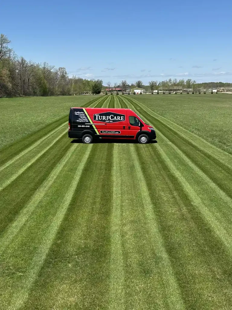 Proper Watering Techniques for Healthy Lawns in the Brainerd Lakes Area