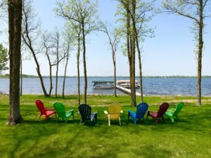 Late Summer Lawn Repair in Minnesota: Why It Works