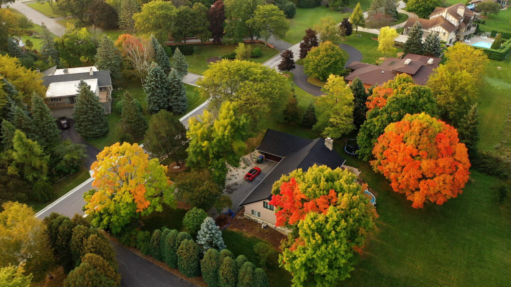 Fall in the Brainerd Lakes Area | Why We Love It