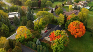 Fall in the Brainerd Lakes Area | Why We Love It