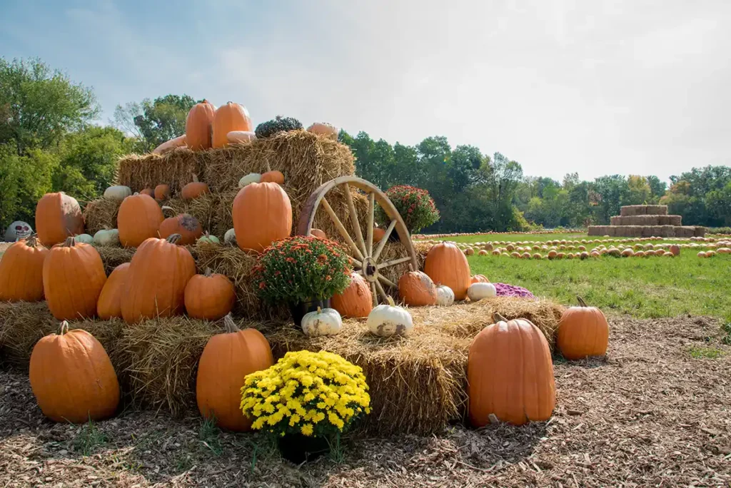 From Nisswa to Crosslake: Fall in the Brainerd Lakes Area