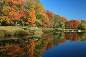 Fall Leaves in Minnesota