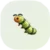 insecticide